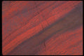 426082 Jasper A4 Photo Print