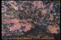 426088 Rhodochrosite A4 Photo Print