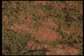 426091 Brown Agate A4 Photo Print