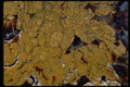 426094 Fractured Brown Agate A4 Photo Print