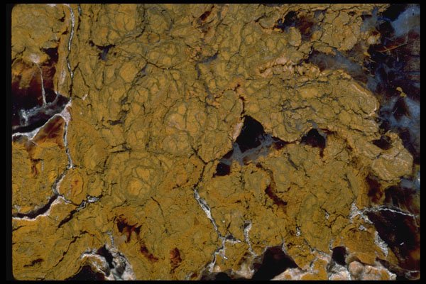 426094 Fractured Brown Agate A4 Photo Print