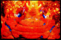 427002 Squat Lobster A4 Limited Edition Watercolour Print