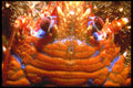 427002 Squat Lobster A4 Photo Print