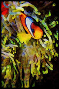 427003 Clown Fish, Red Sea A4 Limited Edition Watercolour Print