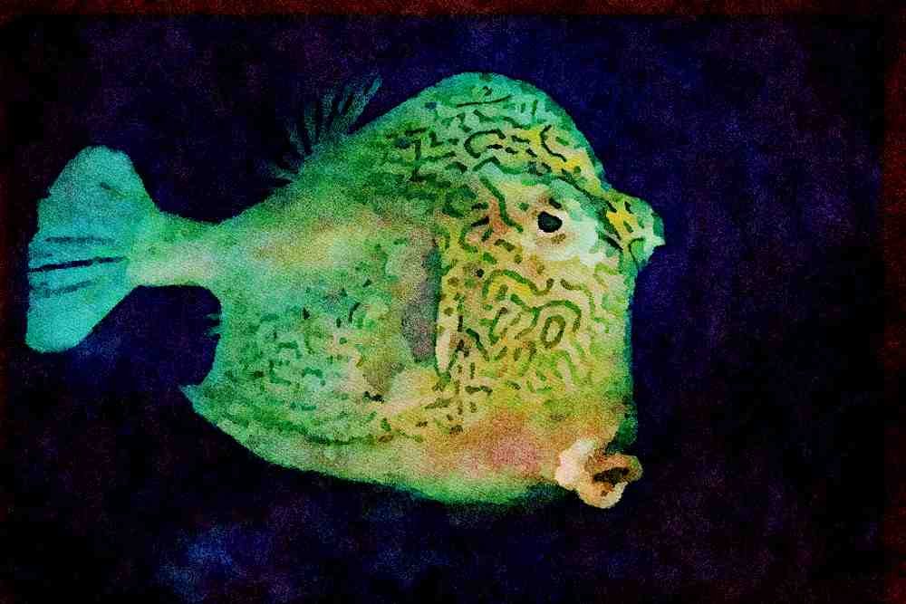 427024 Honeycombed Cowfish A4 Limited Edition Watercolour Print