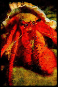 427057 Hermit Crab A4 Limited Edition Watercolour Print