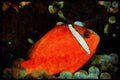 427075 Tomato Clown Fish A4 Limited Edition Watercolour Print