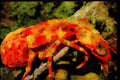 427087 The Slipper Lobster A4 Limited Edition Watercolour Print