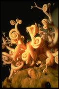 427090 Coiled Arms Of Basket Star A4 Photo Print