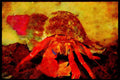 427095 Colorful Hermit Crab A4 Limited Edition Watercolour Print