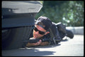 428001 Observer In Over watch Position A4 Photo Print