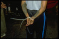 428071 Suspect In Custody, Nylon Ties A4 Photo Print