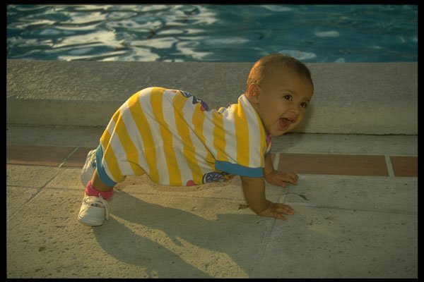 429042 Push up Training For A Future Champion Swimmer A4 Photo Print