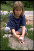 429047 My Pet Mouse A4 Photo Print