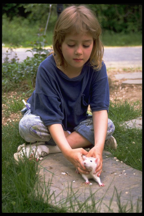 429047 My Pet Mouse A4 Photo Print