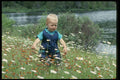 429064 Field Of Daisies A4 Photo Print