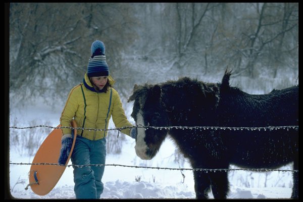 429066 Girl With Pony, Wisconsin A4 Photo Print