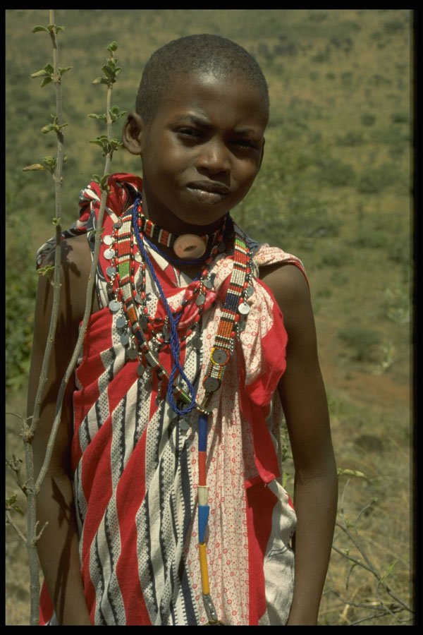 429094 Maasai Girl A4 Photo Print