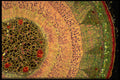 430009 Tilia, Stem, Radial Cut A4 Photo Print