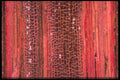 430085 Cannabis, Stem, Side A4 Photo Print