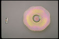 431094 Plate A4 Photo Print