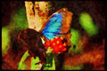 432001 Belizian Blue A4 Limited Edition Watercolour Print