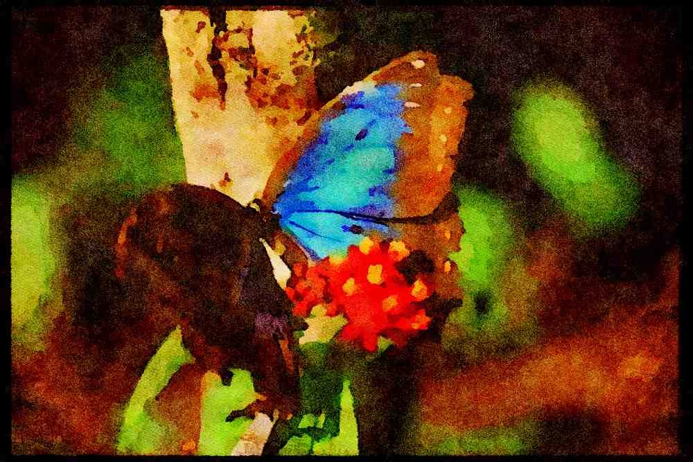 432001 Belizian Blue A4 Limited Edition Watercolour Print