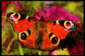 432015 Peacock, Inachis Io A4 Limited Edition Watercolour Print