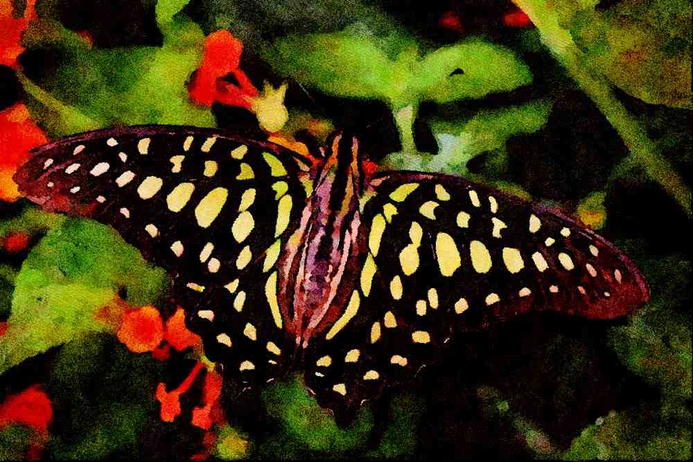 432025 Green Spotted Triangle, Graphium Agamemnon A4 Limited Edition Watercolour Print
