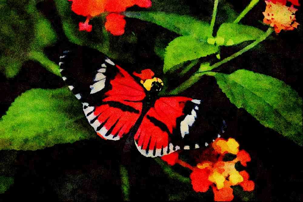 432037 The Postman, Tropical Butterfly House A4 Limited Edition Watercolour Print