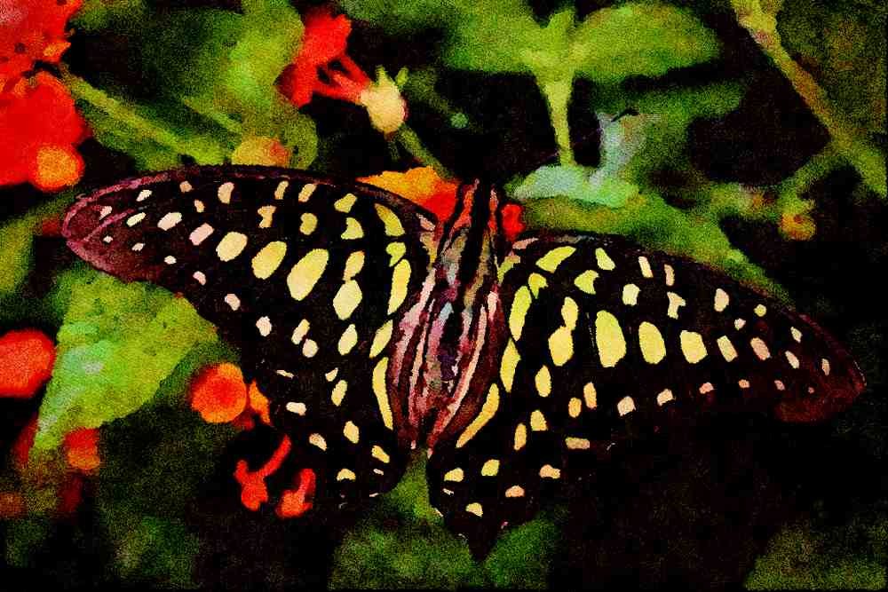 432053 Green Spotted Triangle, Graphium Agamemnon A4 Limited Edition Watercolour Print