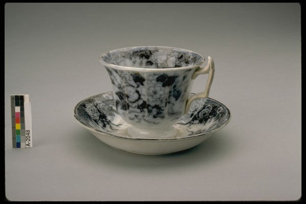 433069 Teacup And Saucer A4 Photo Print