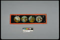 434007 Magic Lantern Slide A4 Photo Print