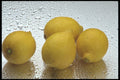 437001 Fresh Lemons A4 Photo Print