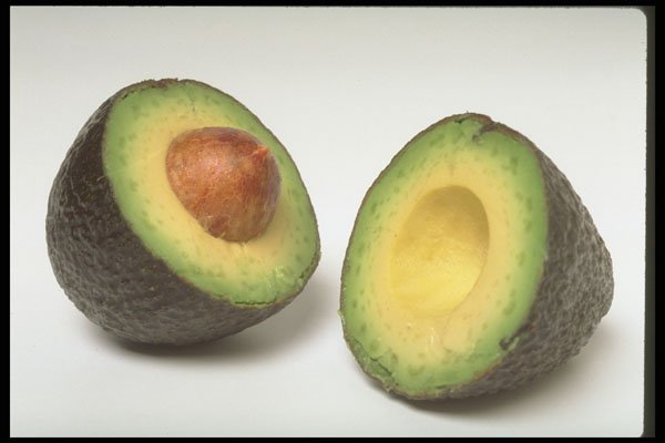 437004 Avocado A4 Photo Print