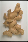 437007 Ginger A4 Photo Print