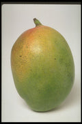 437008 Mango A4 Photo Print