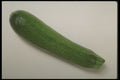 437009 Zucchini A4 Photo Print