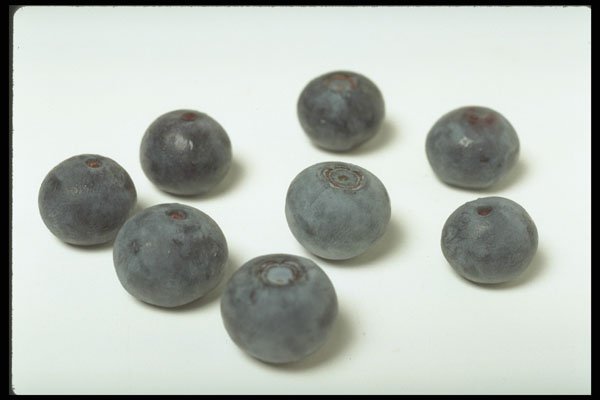 437010 Blueberries A4 Photo Print