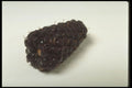 437012 Blackberry A4 Photo Print