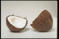 437016 Coconut Halves A4 Photo Print
