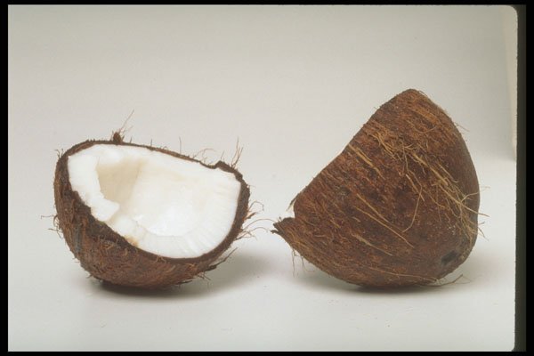 437016 Coconut Halves A4 Photo Print