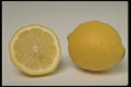 437017 Lemon A4 Photo Print
