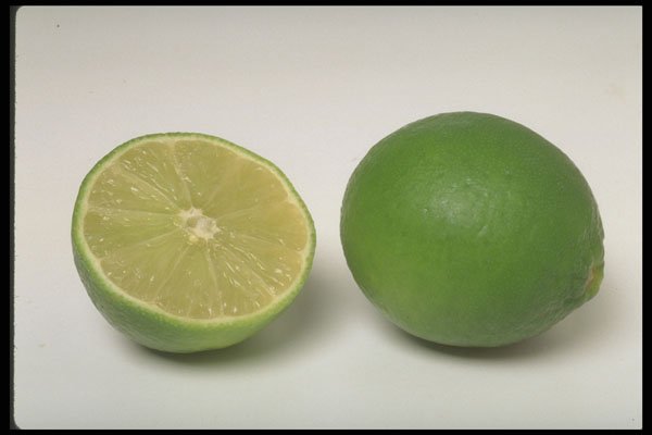 437018 Lime A4 Photo Print