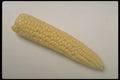 437021 Corn Cob A4 Photo Print