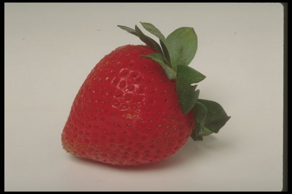 437022 Strawberry A4 Photo Print