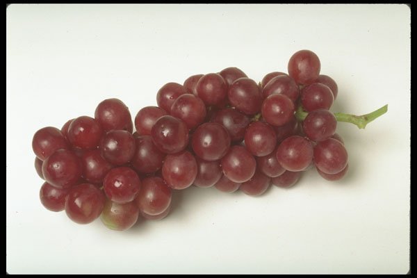 437023 Red Grapes A4 Photo Print