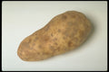 437024 Potato A4 Photo Print