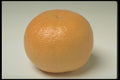 437026 Grapefruit A4 Photo Print