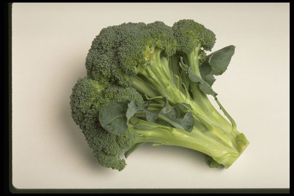 437032 Broccoli A4 Photo Print